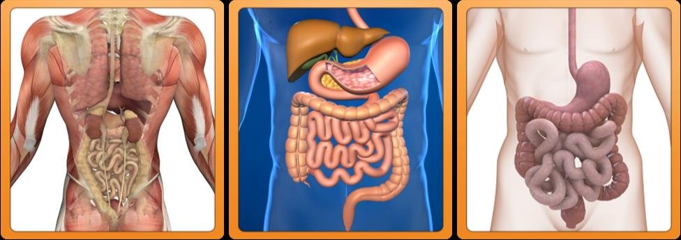 Price of Colonic Hydrotherapy: