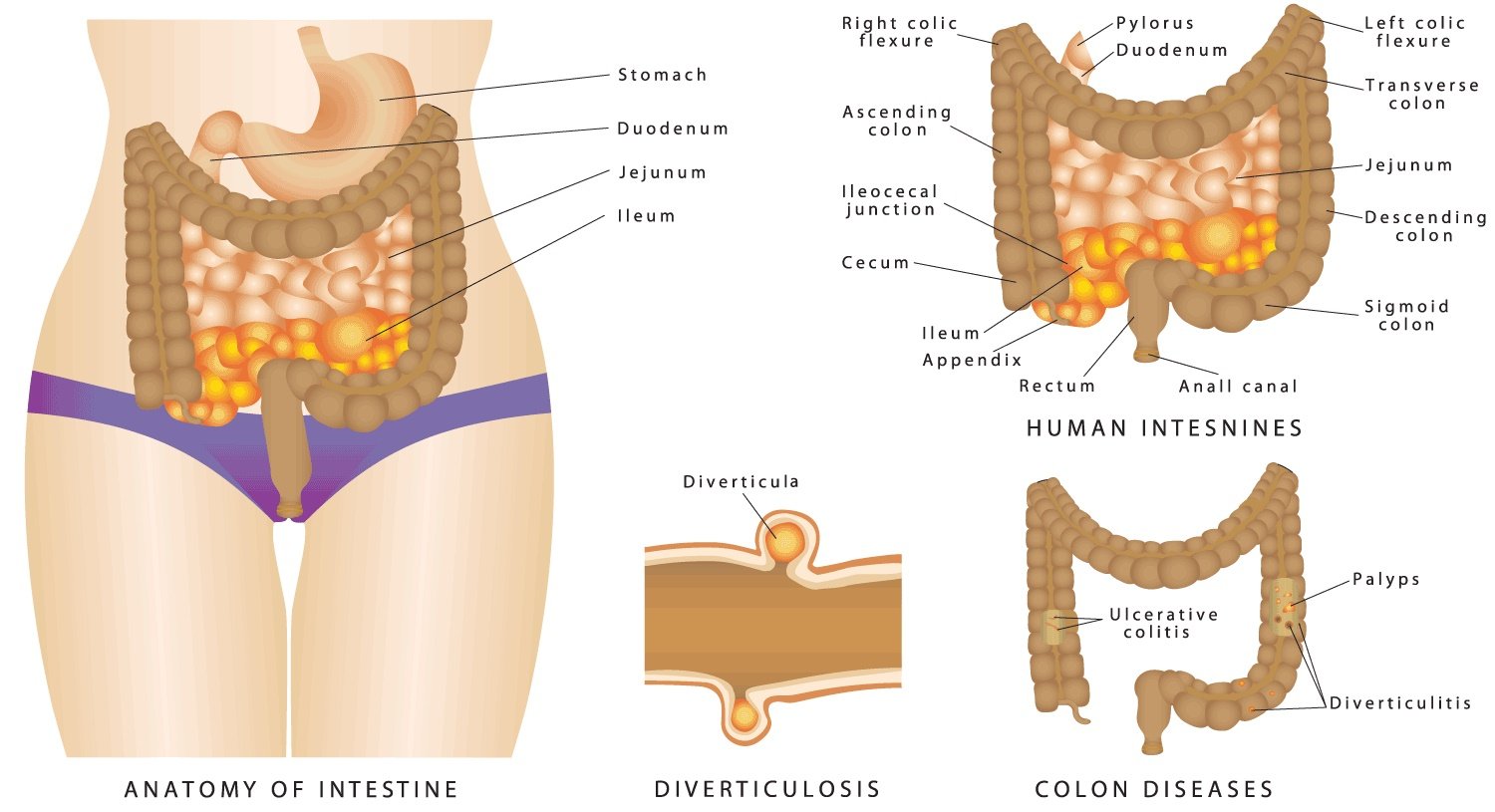 Colonic Cleanse Machine 131